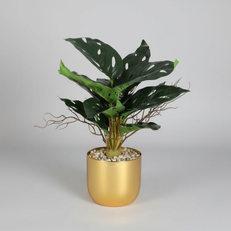 Grande Plante Feuillage – Pot Doré