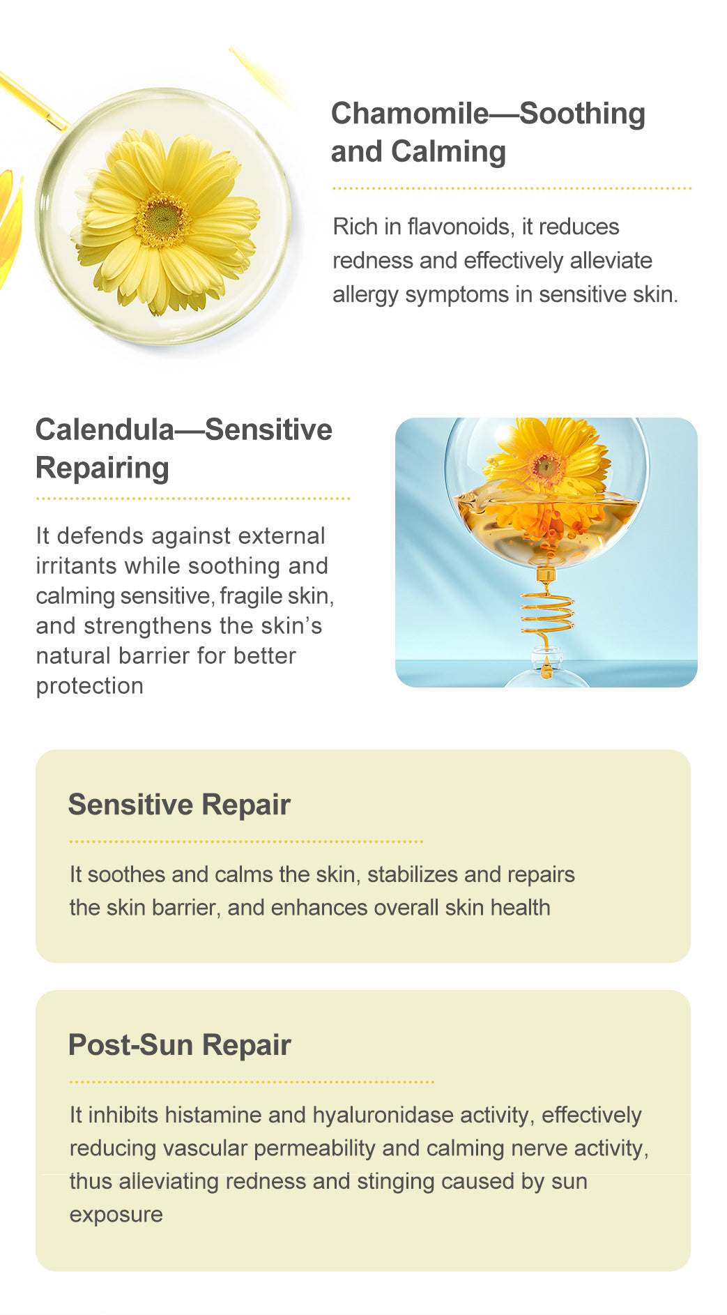MOND'SUB Chamomile Beauté Boîte