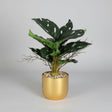 Grande Plante Feuillage – Pot Doré