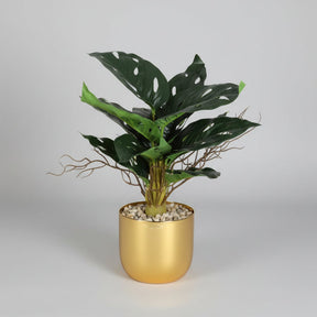 Grande Plante Feuillage – Pot Doré