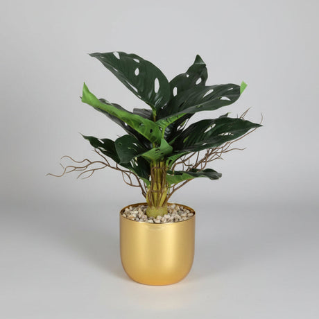 Grande Plante Feuillage – Pot Doré