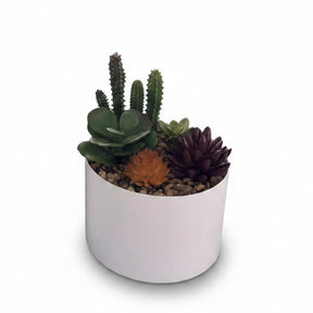 Succulente Mixte – Pot Blanc